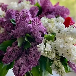 Poplawok , Варшава Польша